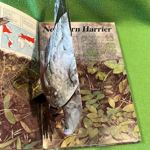Majesty In Flight Nature’s Bird’s Of Prey in Three Dimensions Pop-Up HC Book - Picture 6 of 9